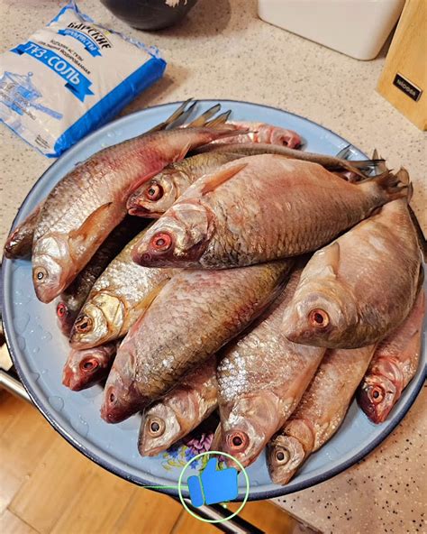 ️ Как правильно и вкусно солить рыбу сухим посолом часть-1. #didula # ...