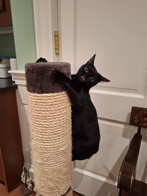 Bug — A Sanctuary Cafe