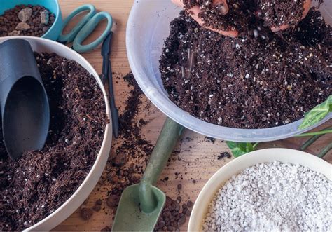 How To Create Great Potting Soil For Baskets & Containers