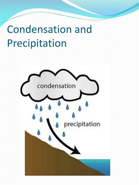 See related image detail. PPT - The Water Cycle Grade 5 By Jon Harnish PowerPoint Presentation ...