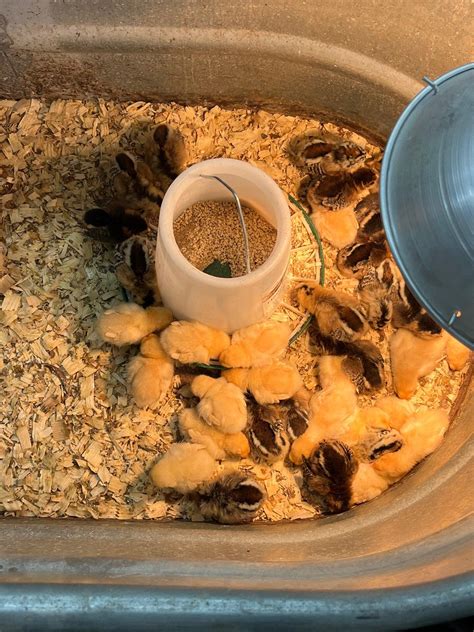 RURAL KING - 2960 E 10th St, Jeffersonville IN - Hours, Directions, Reviews - Loc8NearMe