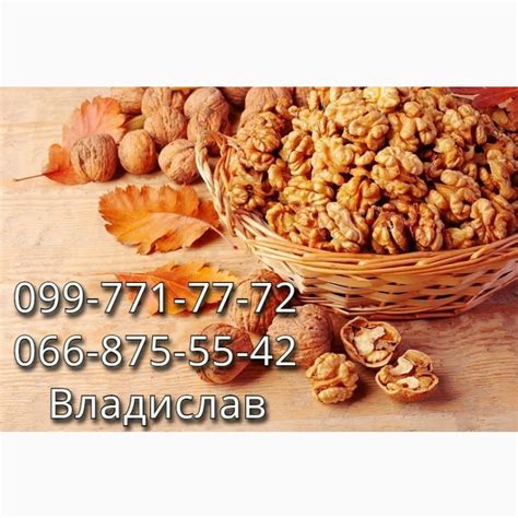 Продам Грецкий Орех, кругляк.Урожай 2020!Цена договорная.Собственная ...