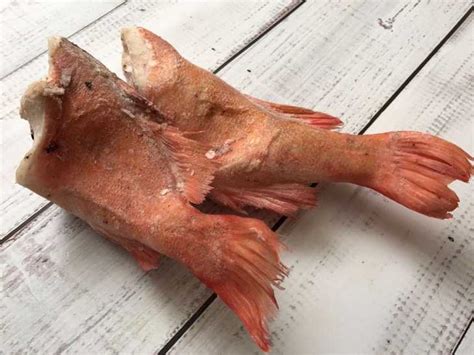 Икра окуня польза и вред. морской окунь