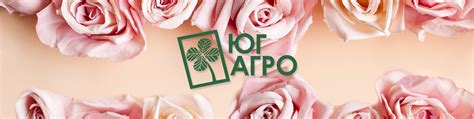 Цветы от «Юг-Агро» | Краснодар | Цветы от производителя из ...