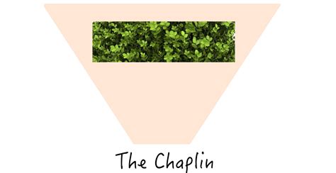 Pubic Hairstyles for Men and Women – What Looks Best Down There ...