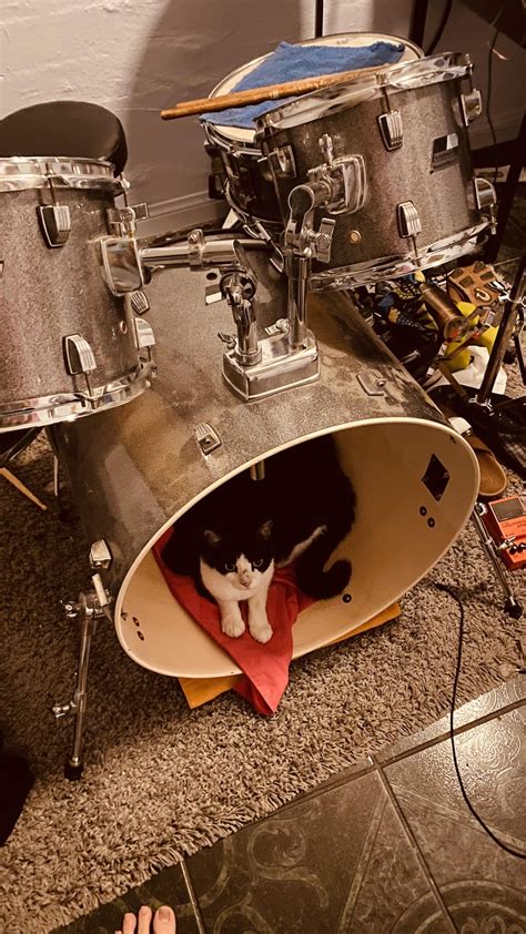 invented a new bass drum mute : r/drums