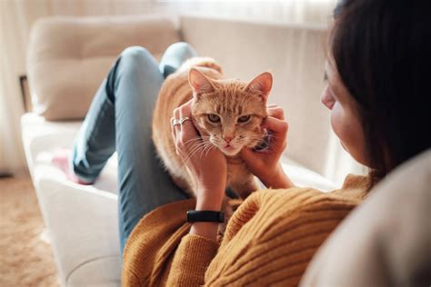 Best Pet Insurance in Virginia | Money