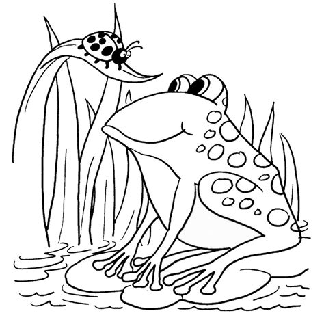 Frog Coloring Pages