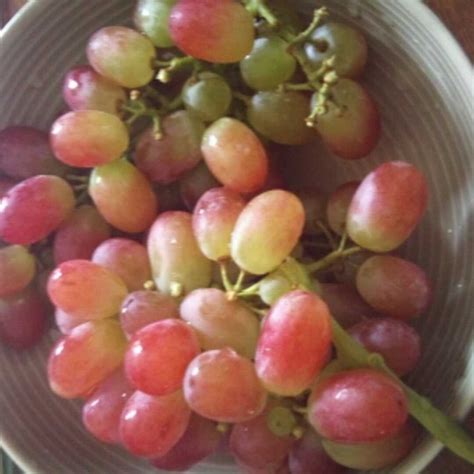 Red Grapes Calories Ounce