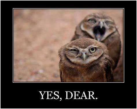 La Palabra Del Dia: "condicionado" | SpanishDictionary.com Answers