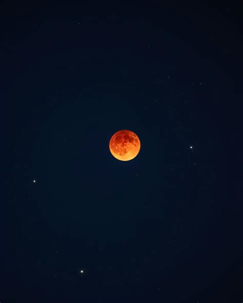 Red+Head+Bikini Photos, Download The BEST Free Red+Head+Bikini Stock Photos & HD Images