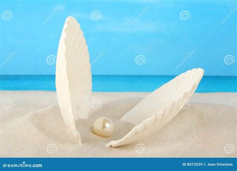 Almeja y perla imagen de archivo. Imagen de azul, agua - 8073239