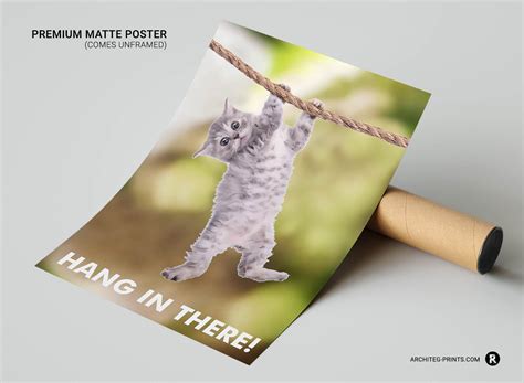 Motivational Cat Poster Hang In There