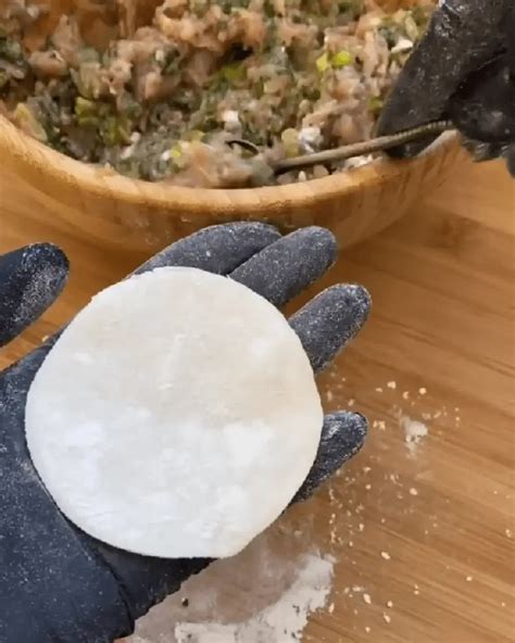 How To Make The Best Pan Fried Gyoza At Home - Home Cooks World