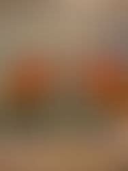 Trumbull County Probate Court