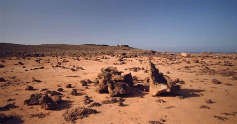 What We Did in the Shadows [Lo que hacíamos en las sombras] - Spanish ...