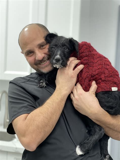 Parkside Animal Hospital |Veterinarian in Waterdown, ON