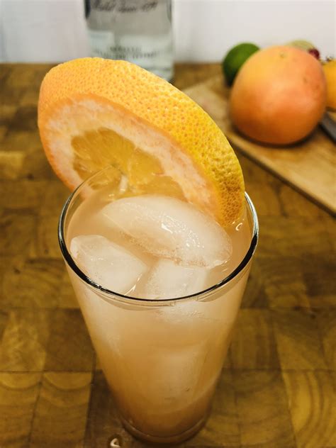 Vodka and Grapefruit Juice aka Greyhound Cocktail | Occasional Cocktails