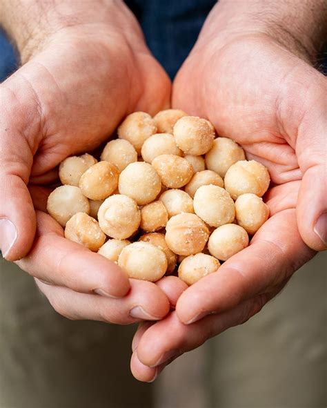 Discover the Top 10 Health Benefits of Macadamia Nuts: A Nutrient ...
