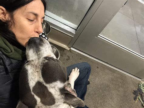 Volunteer — Friends of Berkeley Animal Care Services (FoBACS)