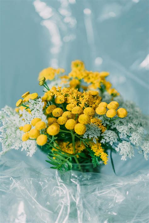 Naked+White+Girls Photos, Download The BEST Free Naked+White+Girls ...