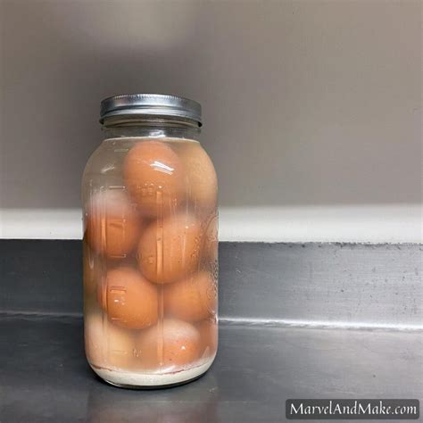 Water Glassed Eggs – How to Preserve Raw Eggs - Marvel & Make