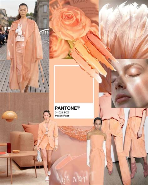 Pin by Sjannie *. on Peach Fuzz | Pantone Color of the Year 2024 in ...