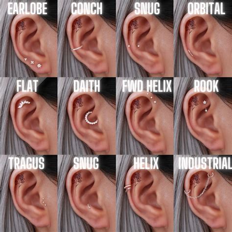 The Ultimate Guide to Ear Cartilage Piercings | Ear piercings chart ...