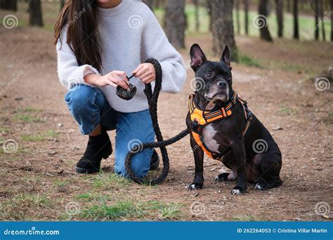 Unrecognizable Young Woman Tying a Knot in the Dog Trash Bag after Pet ...