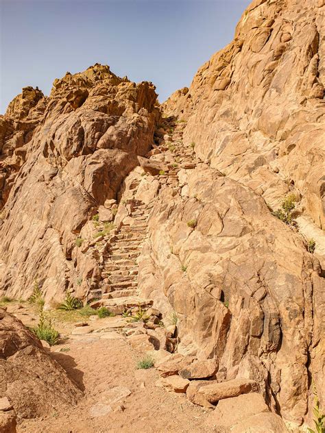 Ultimate Guide to Climbing Mount Sinai Peak: Safety, Best Season ...