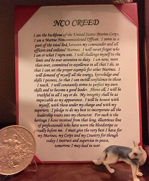 NCO CREED | Marine corps, United states marine corps, Usmc