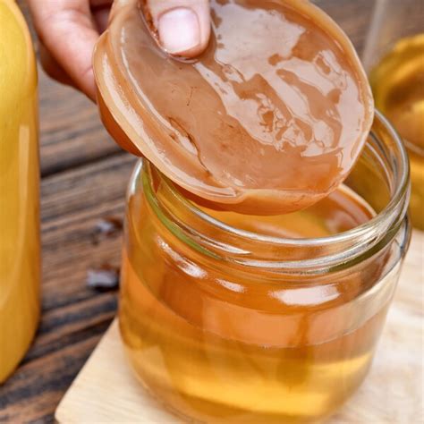 Everything You Need to Know About Kombucha: Five Health Benefits ...
