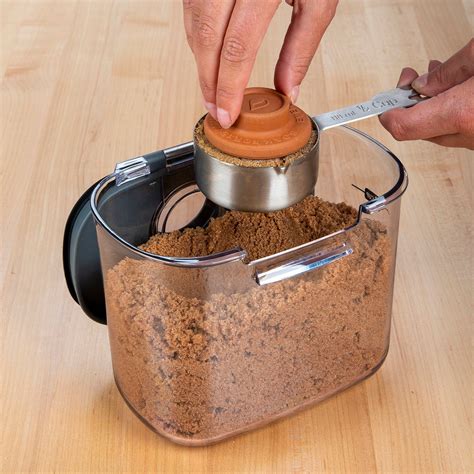 Progressive ProKeeper 1.5 qt. Brown Sugar Container | The Container Store