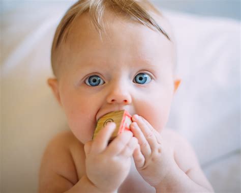 The Best Pacifiers for Newborns - Momtastic