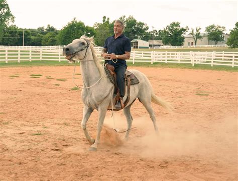 6 Shows Like Tulsa King to Watch While You Wait for Season 2 - TV Guide