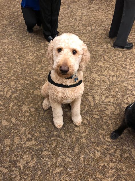 A. Ripepi and Sons Funeral Home | Middleburg Heights OH