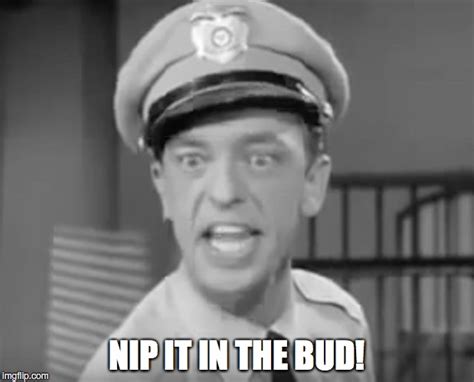 OIP.czeWt4_HnrKCWsSDd_afdgHaF-