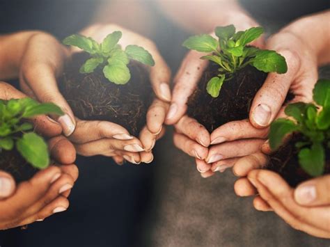 Terrestrial Ecosystems - Yayasan Petronas | Where Good Flourishes