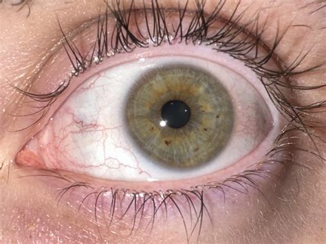 I’ve always wondered what color my eyes would be classified under. Help! : r/WhatisMyEyeColour