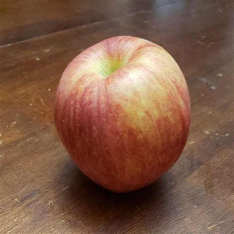 Large Honeycrisp Apple Nutrition