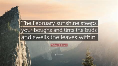 William C. Bryant Quote: “The February sunshine steeps your boughs and ...