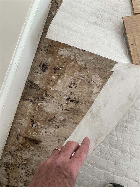 Mold Inspection: Mold found underneath laminate flooring in Charleston ...