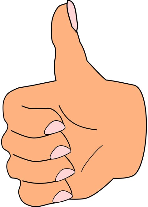 A Clipart Image Of A Hand Giving A Thumbs Up Gesture. The Hand Is ...