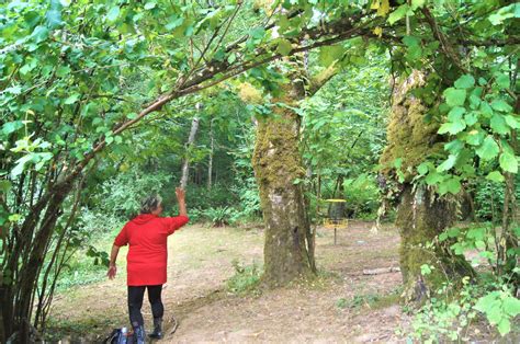 Hole 9 • Dabney State Park (Troutdale, OR) | Disc Golf Courses | Disc ...