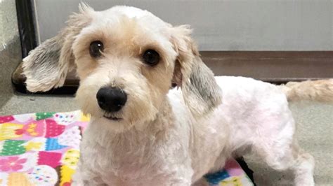 Nansemond Tribe to expand Fishing Point Healthcare facility | 13newsnow.com