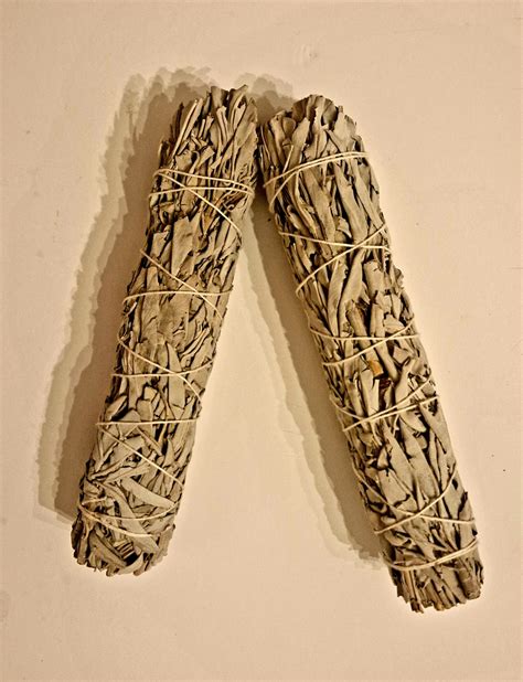 SAGE SMUDGE STICK JUMBO 9″ – Muluku Cosmetics