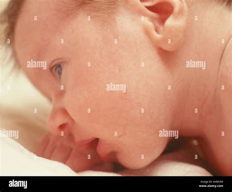 5 week old baby boy Stock Photo - Alamy