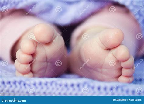 Newborn baby feet stock photo. Image of newborn, human - 69588684