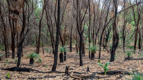 Videos pornos de luuphea heard there was a young girl in