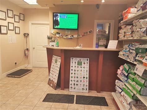 Virtual Office Tour | Veterinarian in Vancouver, BC | Hemlock Animal ...